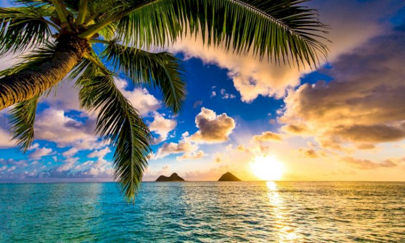 multiple island hawaiian vacation packages